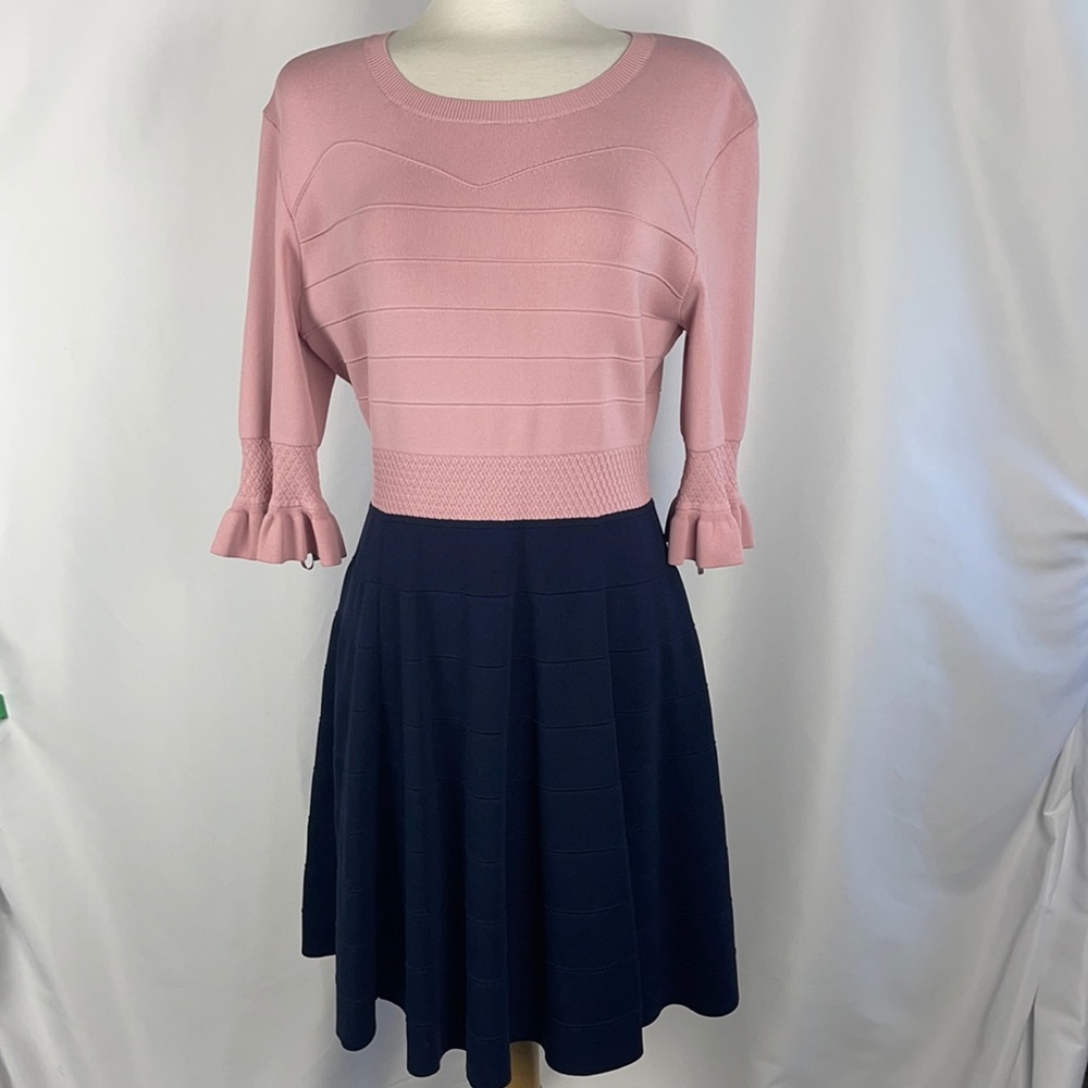 NEW Pink and Navy Knit Dress - Picture 5 of 10